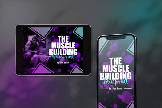 The Muscle Building Blueprint